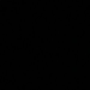 Meet your Posher, Jade